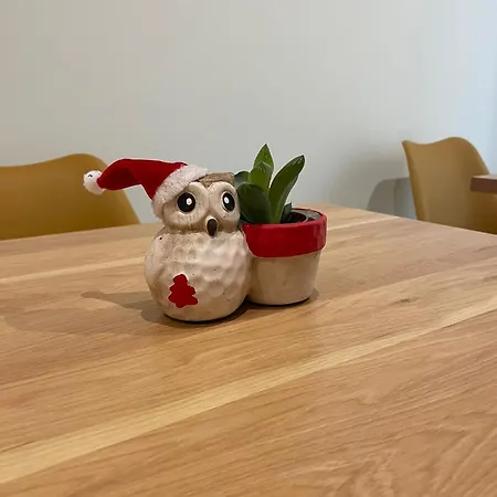Little Gardens بيت ضيافة روما
